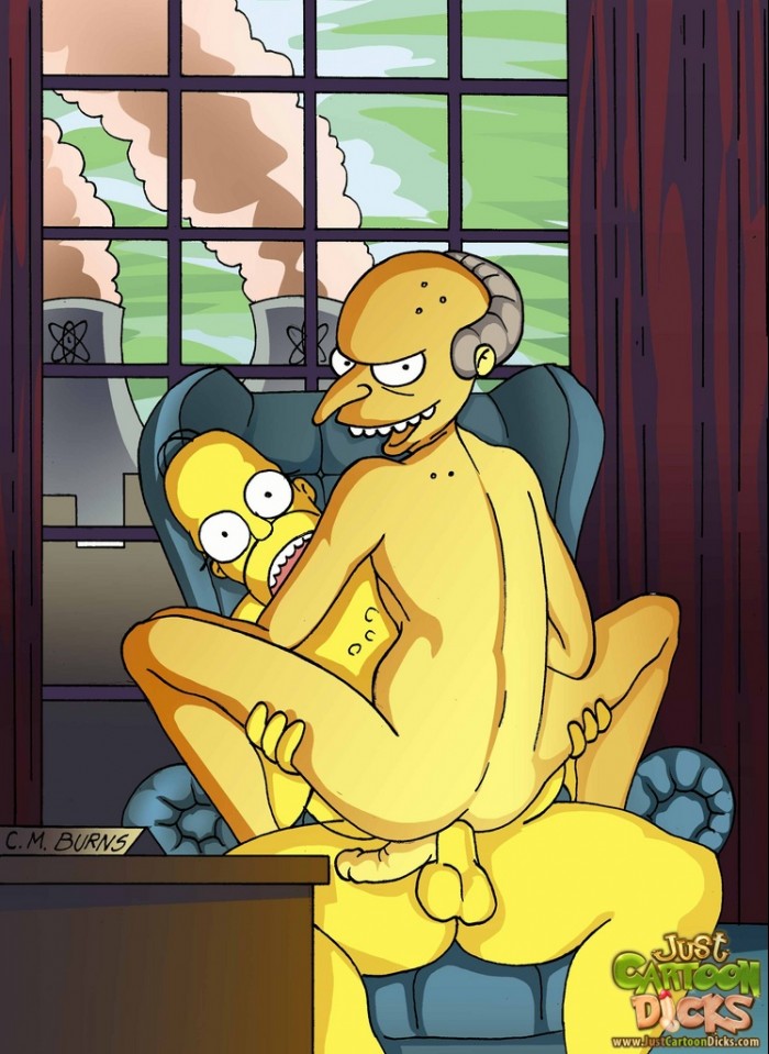 The Simpsons 14