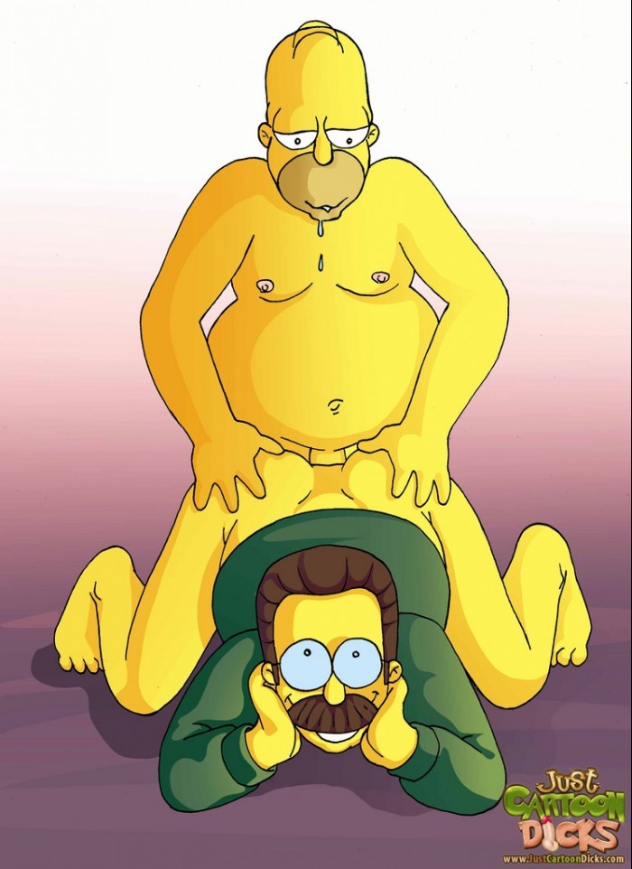 The Simpsons 17