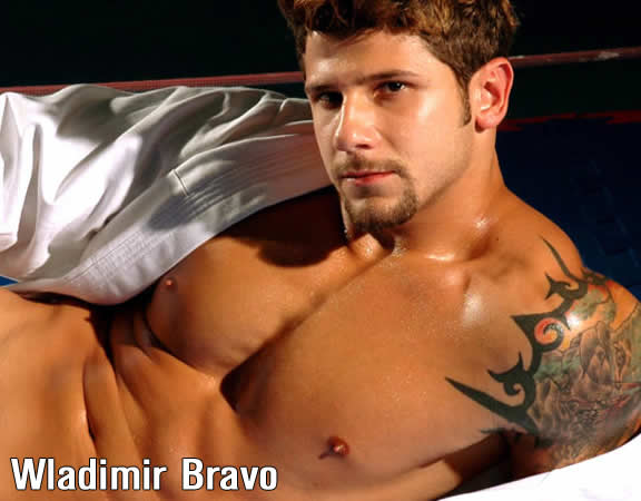 Wladimir Bravo - MaxeGatos 1