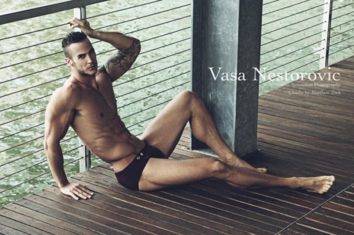 Vasa Nestorovic - MaxeGatos 1