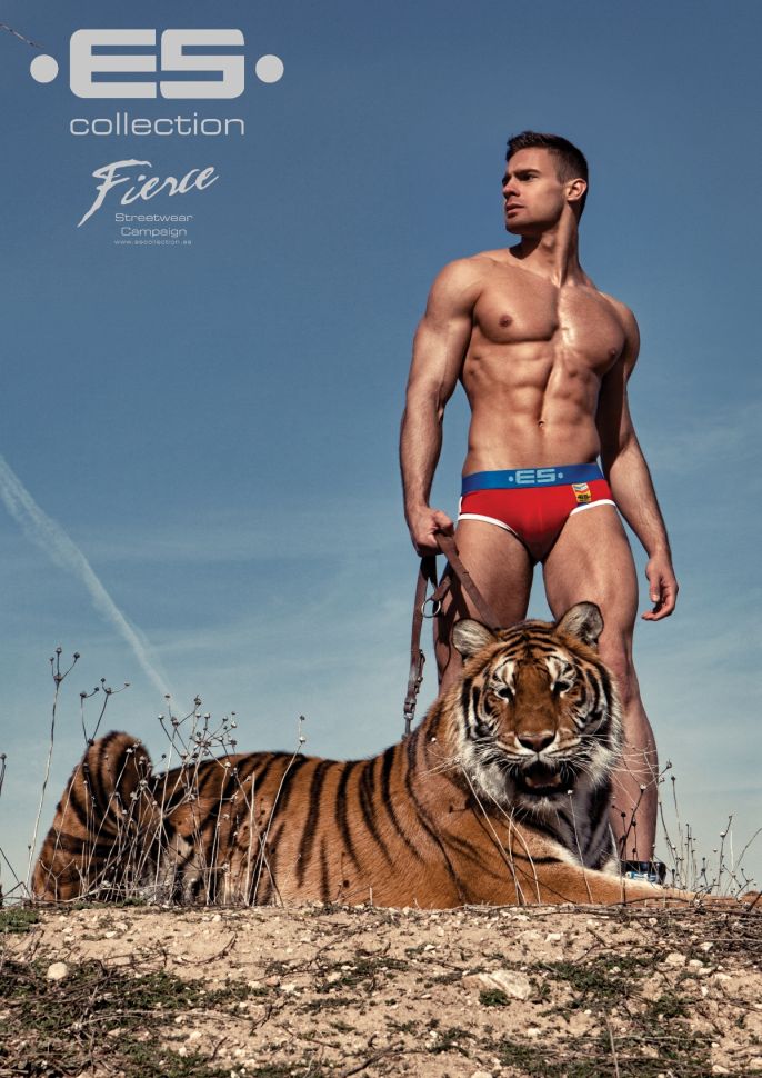 Kirill Dowidoff - MaxeGatos 2