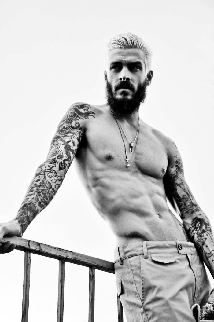 Mateus Verdelho - MaxeGatos 27