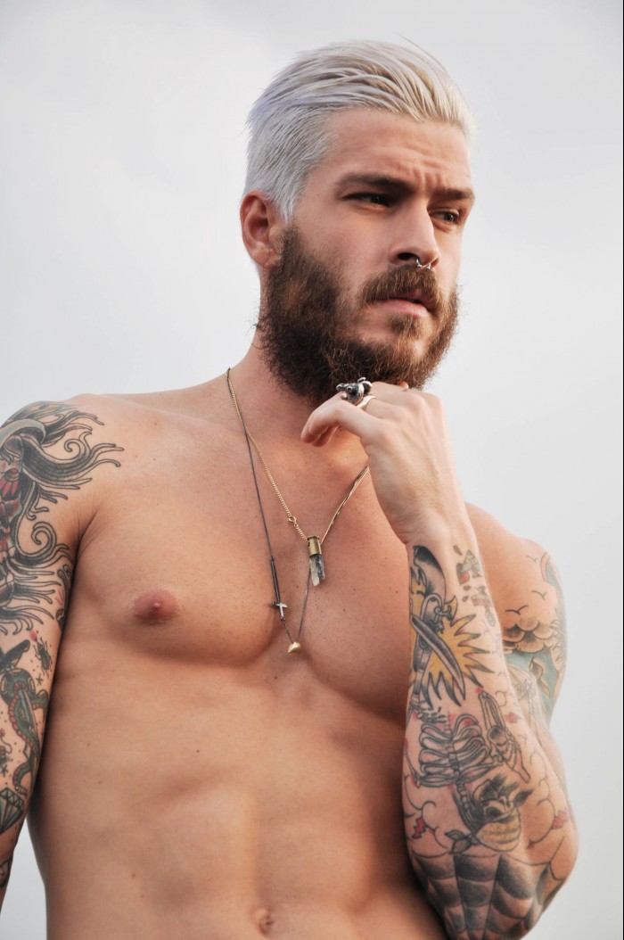 Mateus Verdelho - MaxeGatos 30