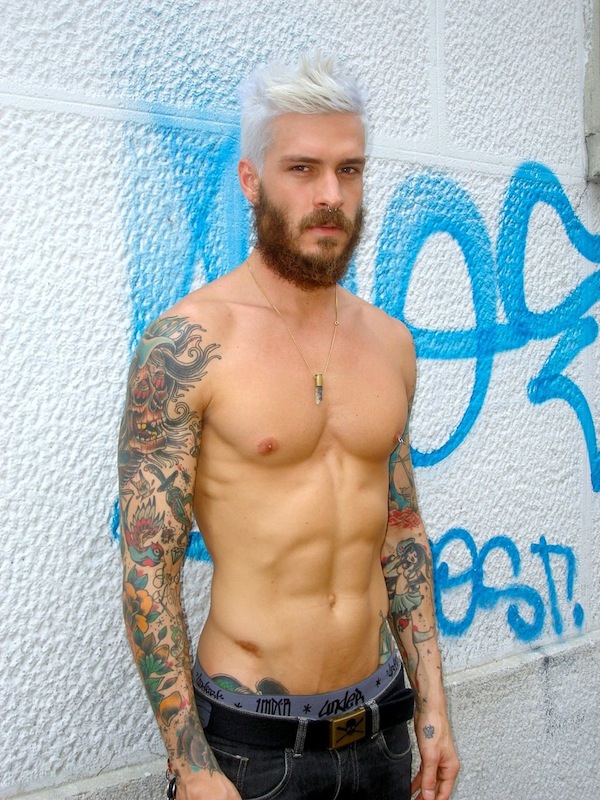 Mateus Verdelho - MaxeGatos 34