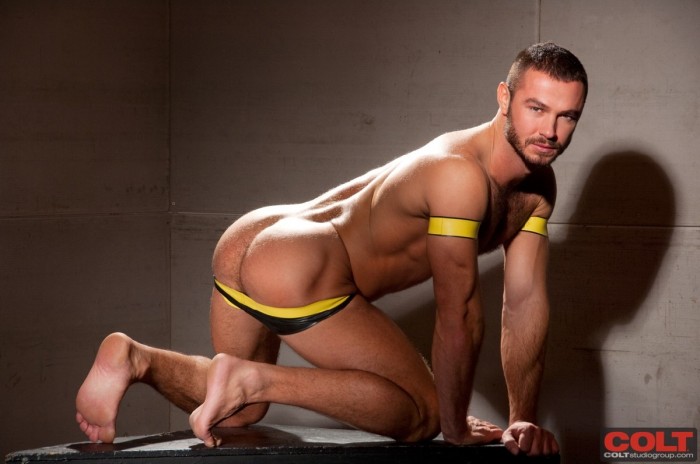 Jessy Ares - MaxeGatos 24