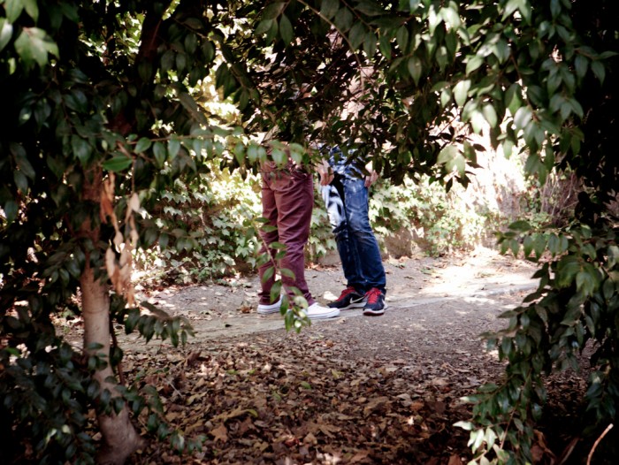 Jordan Levine & Levi Michaels - MaxeGatos 3